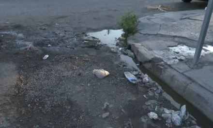 Fuga de aguas negras causa contaminación en Saltillo