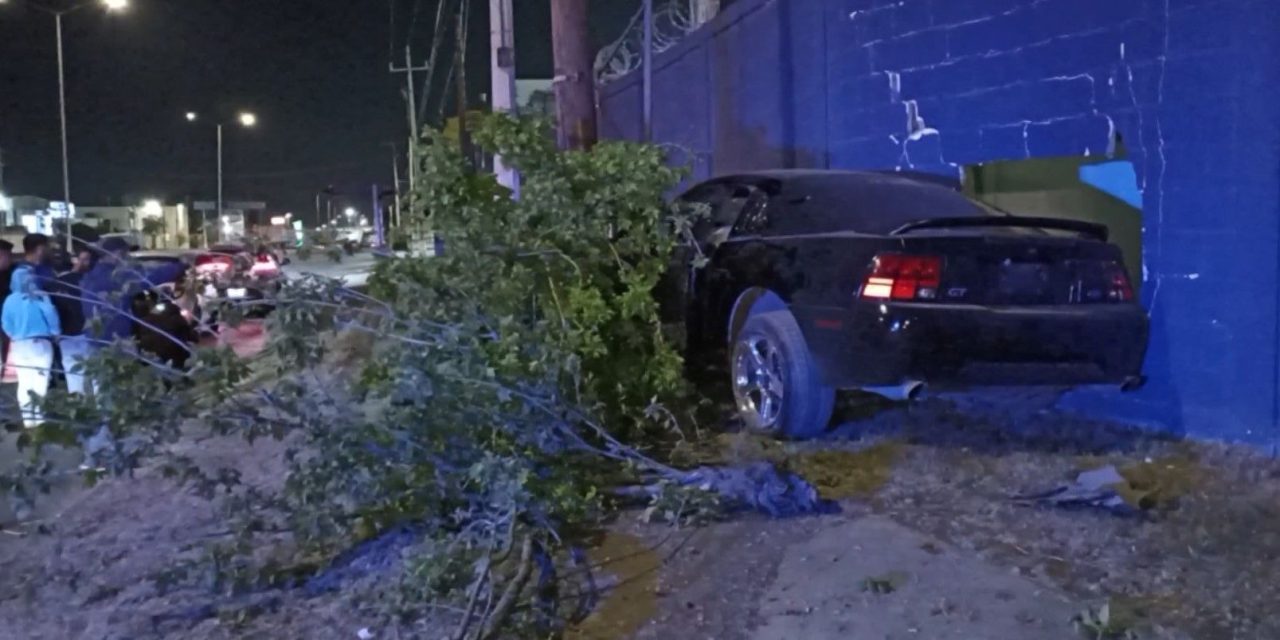 Saltillo: Joven de 18 años choca, huye en su Mustang pero termina carrera tumbando un árbol y barda