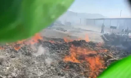 Incendio en recicladora moviliza a bomberos en los límites de Saltillo y Arteaga