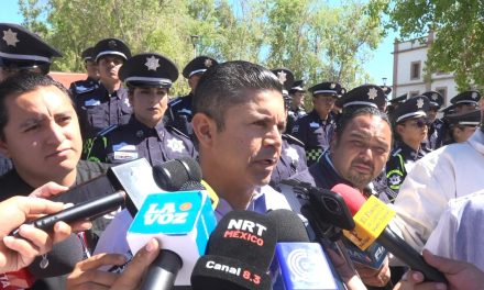 Más de 183 reportes recibidos mediante el número 800 Violeta