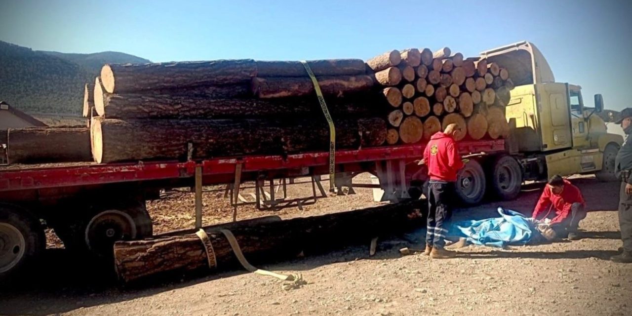 Muere trabajador aplastado por troncos en ejido de Arteaga