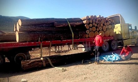 Muere trabajador aplastado por troncos en ejido de Arteaga