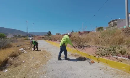 Realiza Gobierno de Saltillo limpieza integral en arroyo de Lomas del Refugio