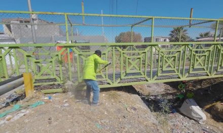 Realiza Saltillo limpieza en paso peatonal