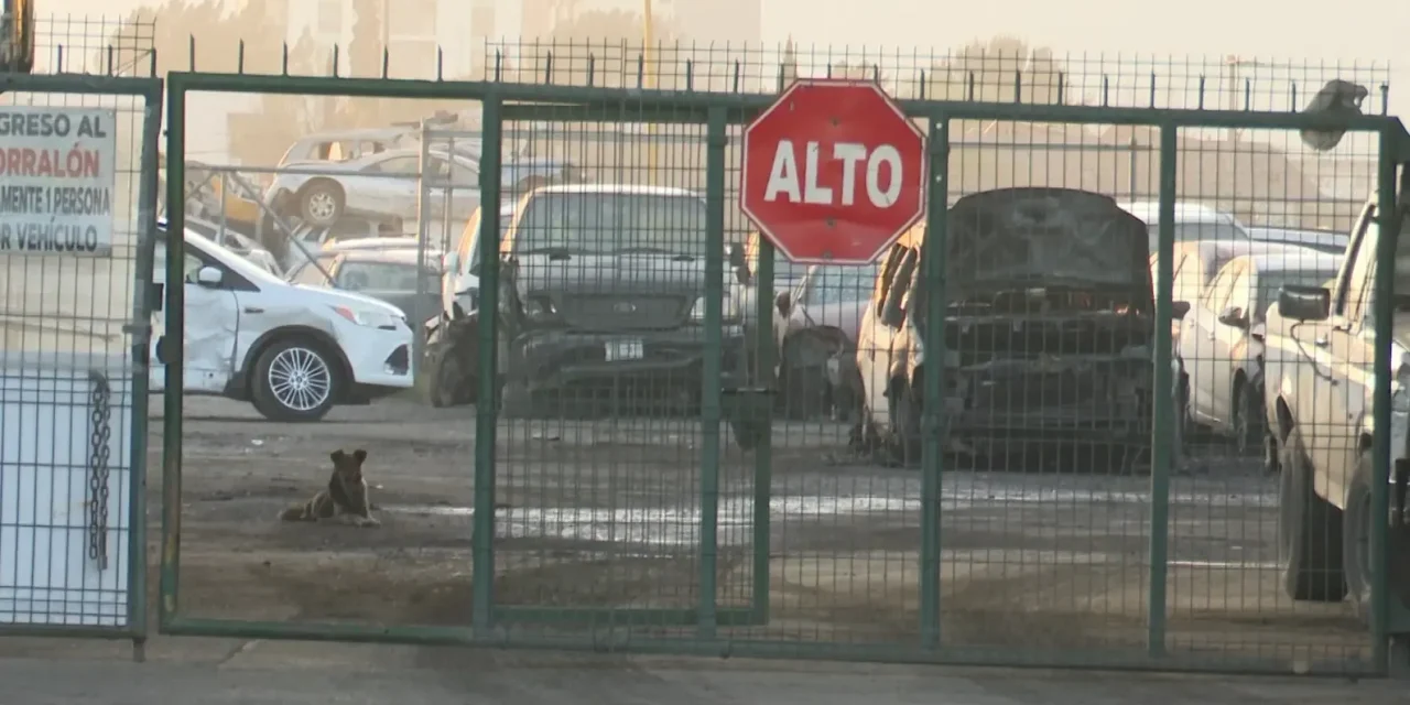 Se queman tres vehículos en corralón por un incendio repentino en Saltillo