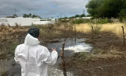 Intensifican labores de prevención contra el dengue