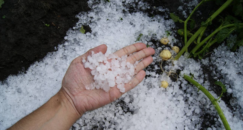 Granizada deja daños menores en Saltillo, autoridades destacan beneficios ambientales