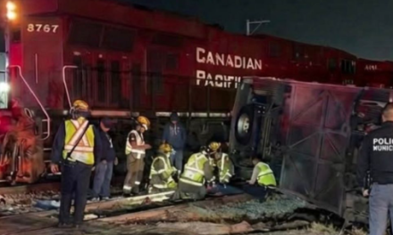 Piden criterio a los conductores para evitar más accidentes con el tren
