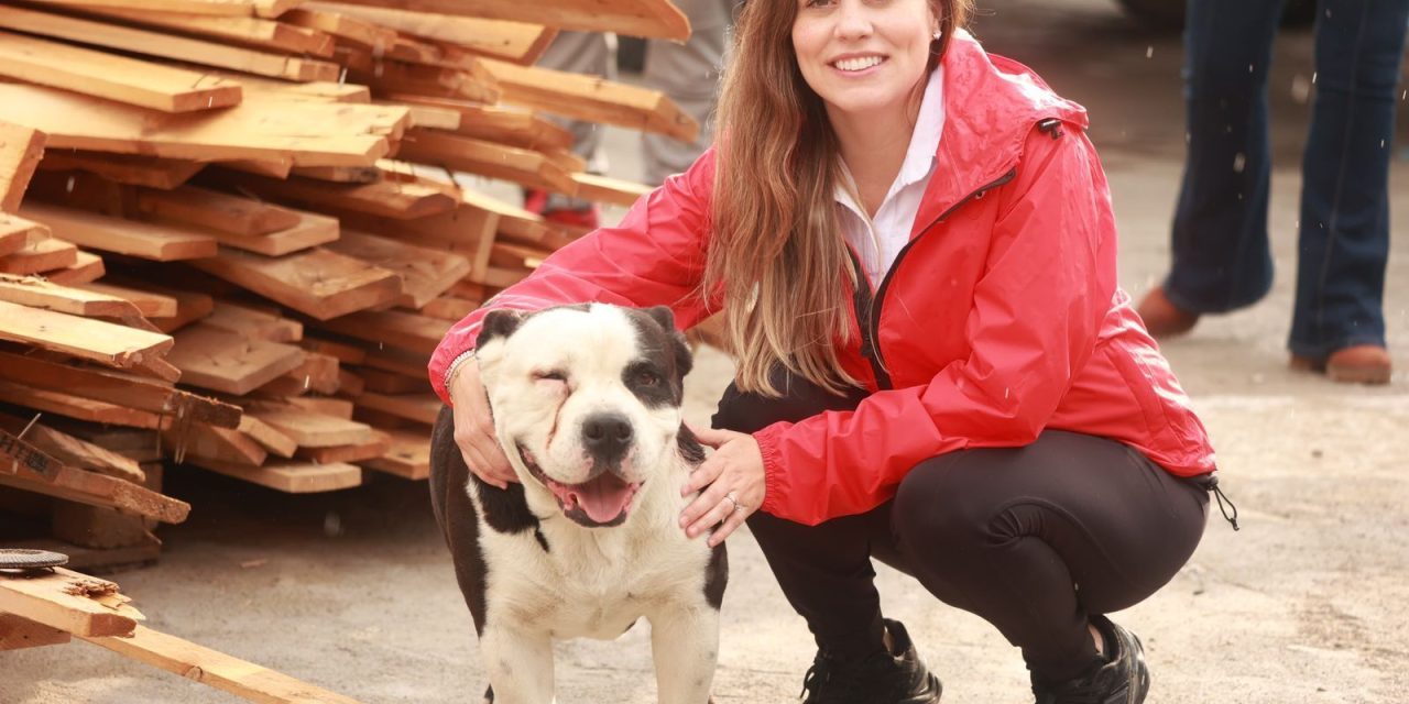 Impulsa Marimar Arroyo apoyo a perros rescatados