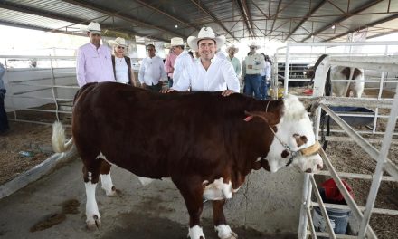Con la Expoasis en Múzquiz seguimos fortaleciendo nuestra cultura vaquera en Coahuila: Manolo