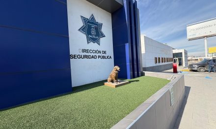 Detiene Policía Saltillo a probable autor de cristalazos en el centro