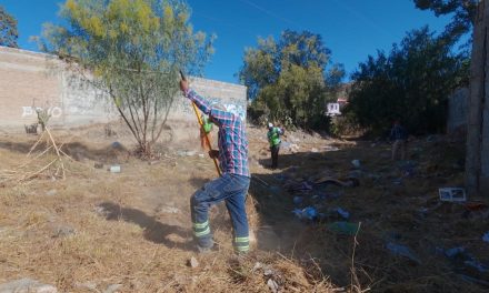 Atiende Municipio arroyo en la colonia Francisco Villa
