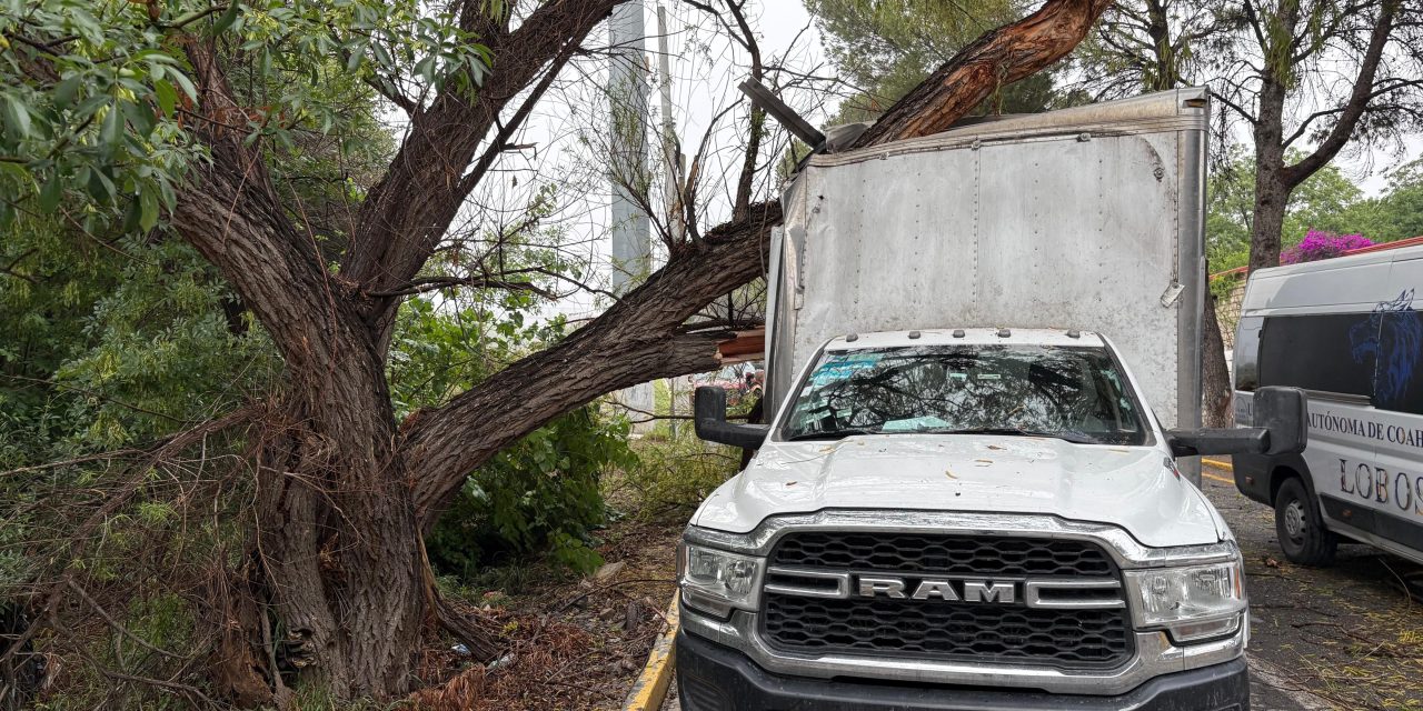 Camión de carga se impacta contra árbol en Saltillo