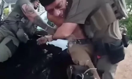 Video: Perro policía muerde a hombre y él se defiende devolviendo el ‘cariñito’
