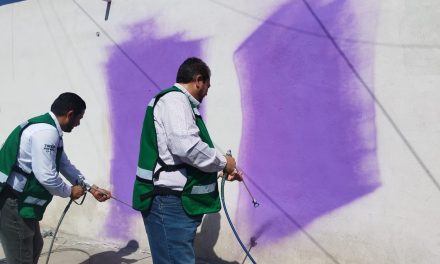 Enchulan la colonia Jardines de Analco en Ramos Arizpe
