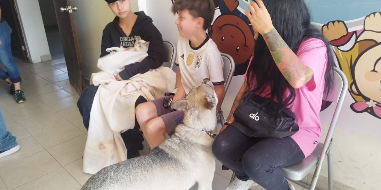 Continúa esterilización gratuita en Ramos Arizpe