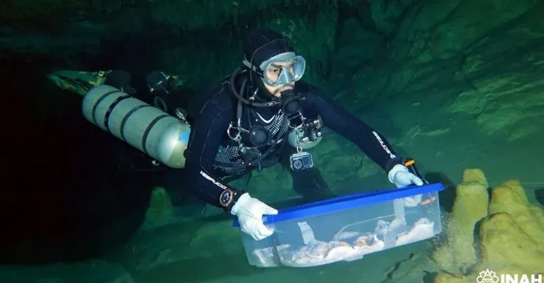 Recuperan restos humanos de 8 mil años en Yucatán que revelarían cómo era la vida