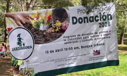 Jardimania entrega 2 mil plantas en Saltillo
