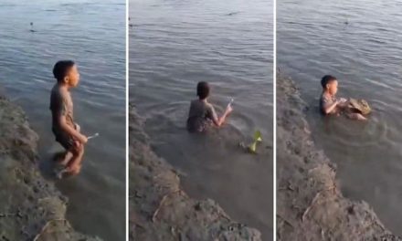 Video: Niño le lava los dientes a su ‘mejor amigo’… ¡es un caimán!