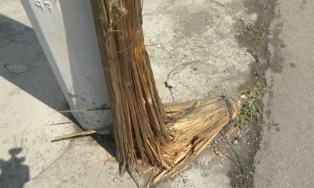 Poste representa un peligro en Saltillo