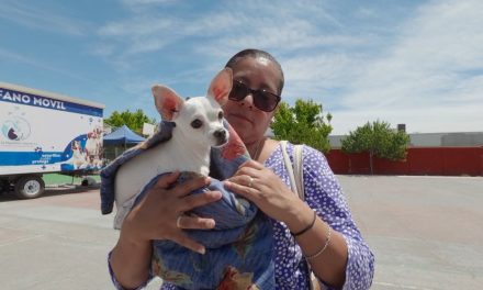 Realiza Municipio campaña de esterilización y bienestar animal en colonia Saltillo 2000