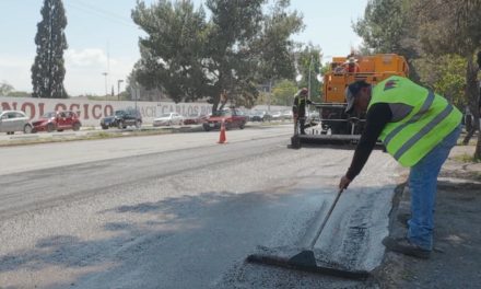Rehabilita Javier Díaz  pavimento en Avenida Universidad