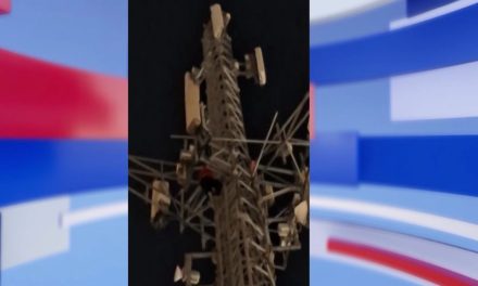 Hombre sube a lo alto de torre de telefonía antes de llegar a Saltillo porque afirmó ser perseguido por hombres armados