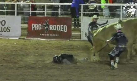 Jinete saltllense pierde la vida al recibir una patada de un toro en el ‘Rodeo de la Primavera’ en Chihuahua