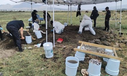 Hallan 219 restos humanos en jornada de búsqueda en límites de Chalco y Tláhuac