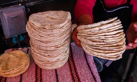 Sheinbaum frena alza a la tortilla: ‘No hay razón, el precio del maíz está en niveles mínimos’