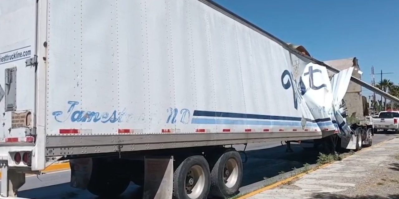 Tráiler derriba rama de pinabete y provoca daños a vehículos en Parras