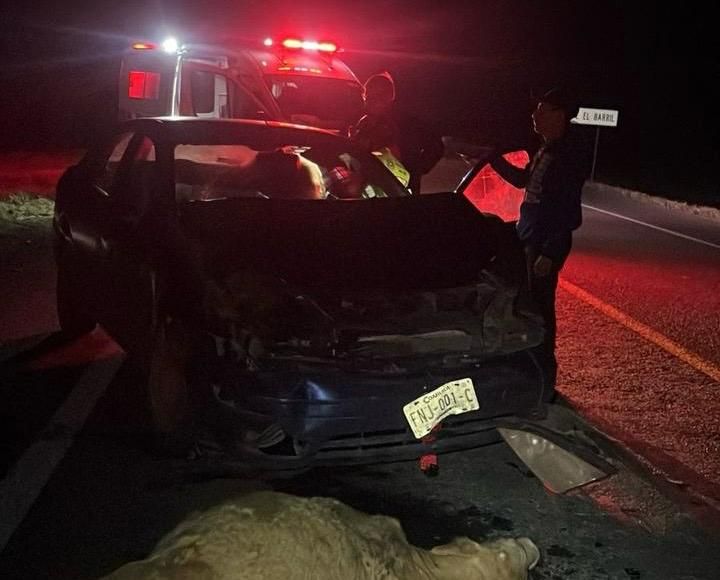 Mujer resulta lesionada tras chocar contra una vaca en Ramos Arizpe
