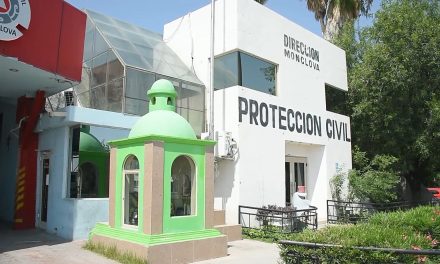 75 reportes de presencia de enjambres ha recibido Protección Civil de Monclova