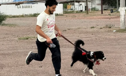 Realizan jornada de bienestar animal en Sabinas