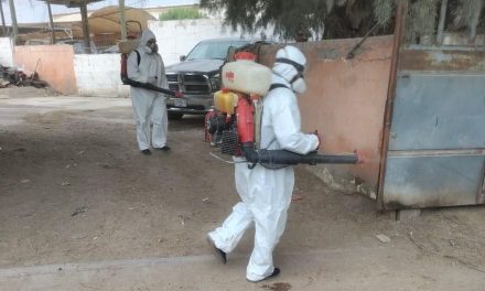 Intensifican fumigación y control de vectores en Torreón