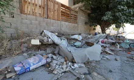 Detienen a 12 ‘Vecinos Cochinos’ en Torreón