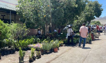 Supervisan panteones por Día de las Madres en Torreón
