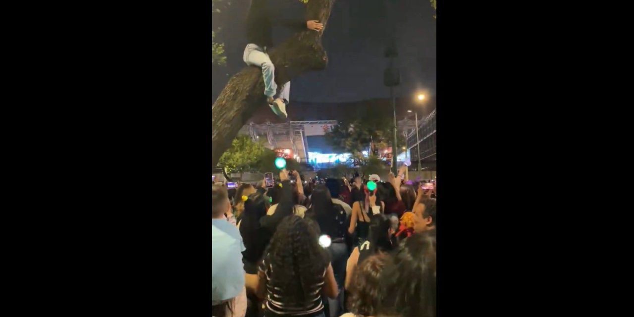 Armys aprovechan recoveco afuera del  Estadio GNP Seguros para ver el concierto de BTS (video)