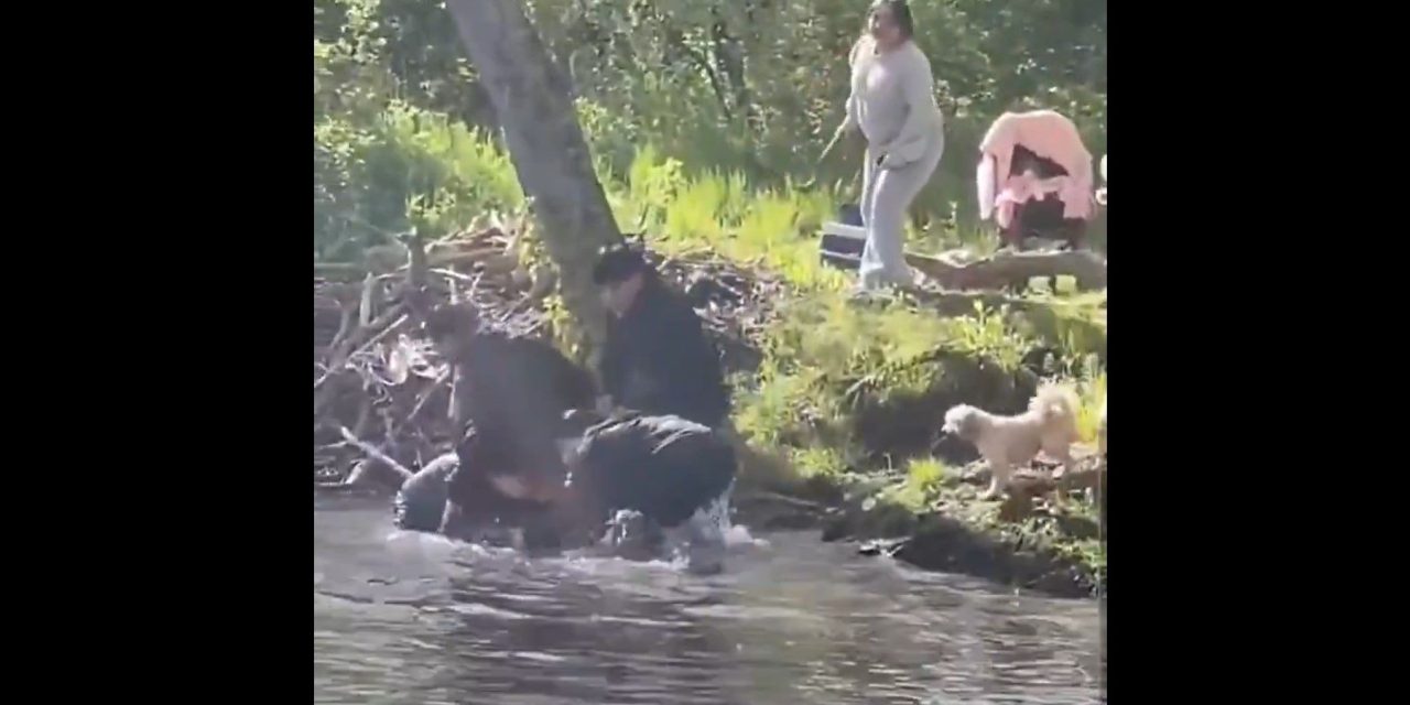 Castor pelea su territorio con familia que hacía un picnic (video)