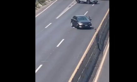 Video: Así salvaron automovilistas a un lomito que corría por la carretera en Querétaro