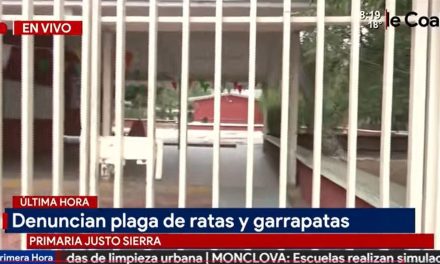 Denuncian plaga de ratas y garrapatas en primaria de Saltillo