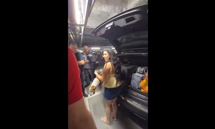Denuncian a una joven en Francia por dejar a su perro encerrado en una jaula a 35 grados