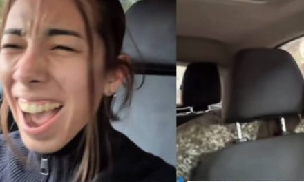 ¿El arreglo incluía un lomito? Clienta se lleva por error al perro de su mecánico (video)