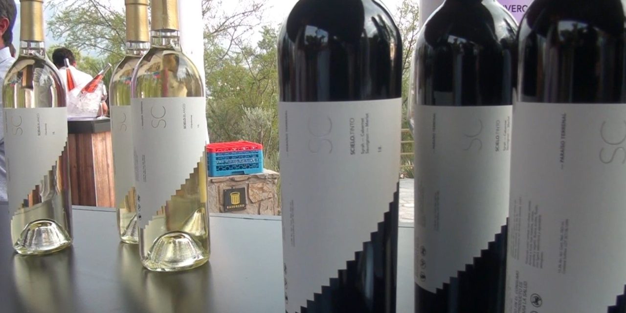 Produce Coahuila los mejores vinos
