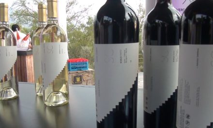 Produce Coahuila los mejores vinos