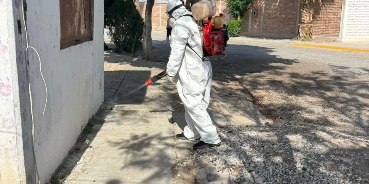 Protegen la salud pública con brigadas de fumigación y colocación de cebos para roedores