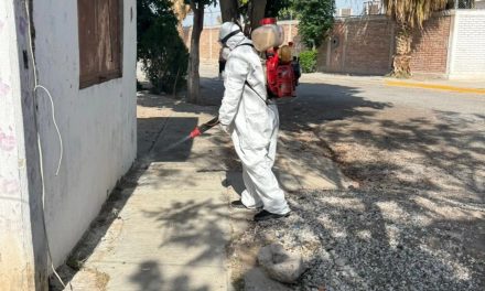 Protegen la salud pública con brigadas de fumigación y colocación de cebos para roedores