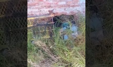 Reprueba gobernador actos vandálicos a equipos del SIMAS en Torreón