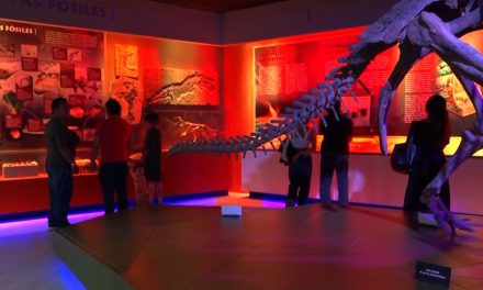 Reúne Museo del Desierto a cientos de familias en la séptima edición de Noche de Museos