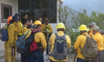 Solo Arteaga registra 11 conatos de incendios forestales